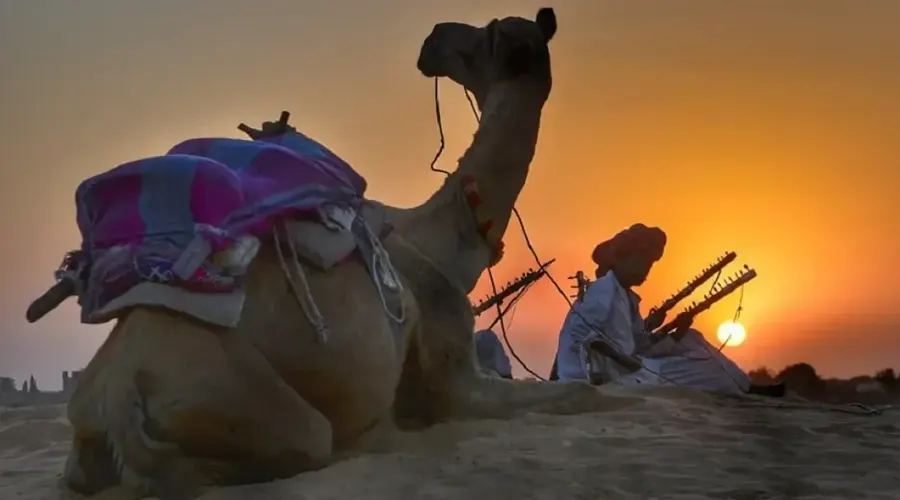 Camel Safari in Rajasthan