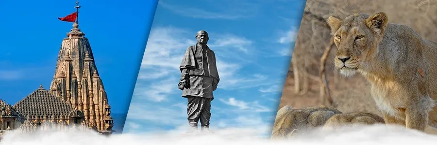 Culture and wildlife tourism in Gujarat India