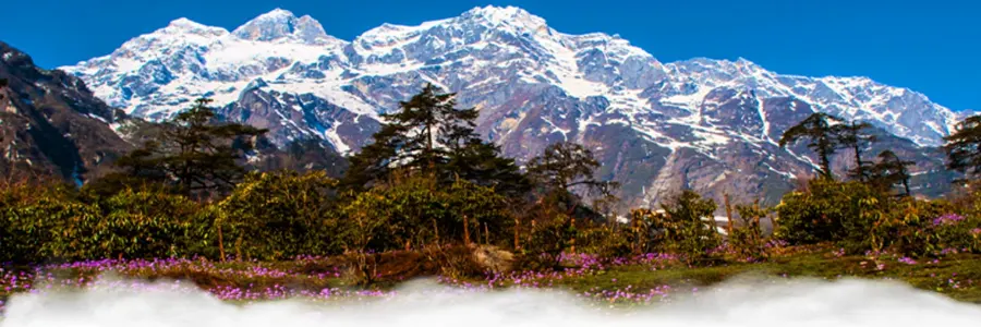 Yumthang Valley in Sikkim, the Valley of Flowers, covered in snow with hot springs