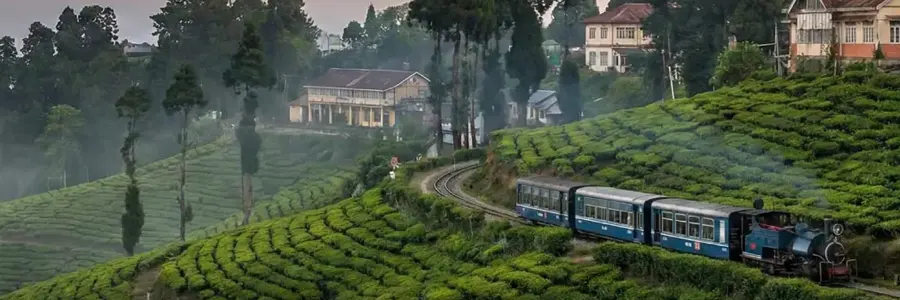 Darjeeling