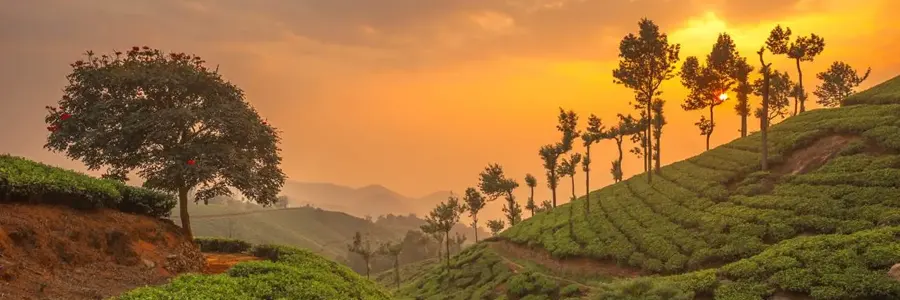 Munnar