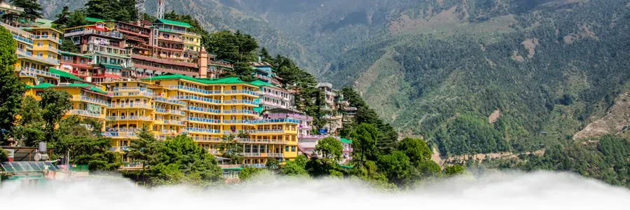 McLeod Ganj budget travel – Triund trek and Tibetan monasteries