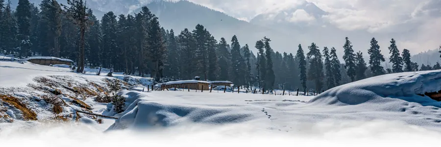 Kashmir valley among top tourist destinations in India